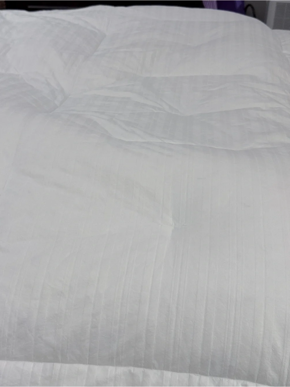 National Sleep Products Down Filled Cotton Duvet Insert Comforter Queen White